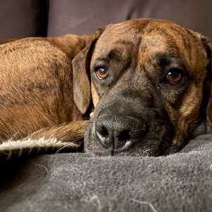 Fundraising Page: Cabot Marnhout